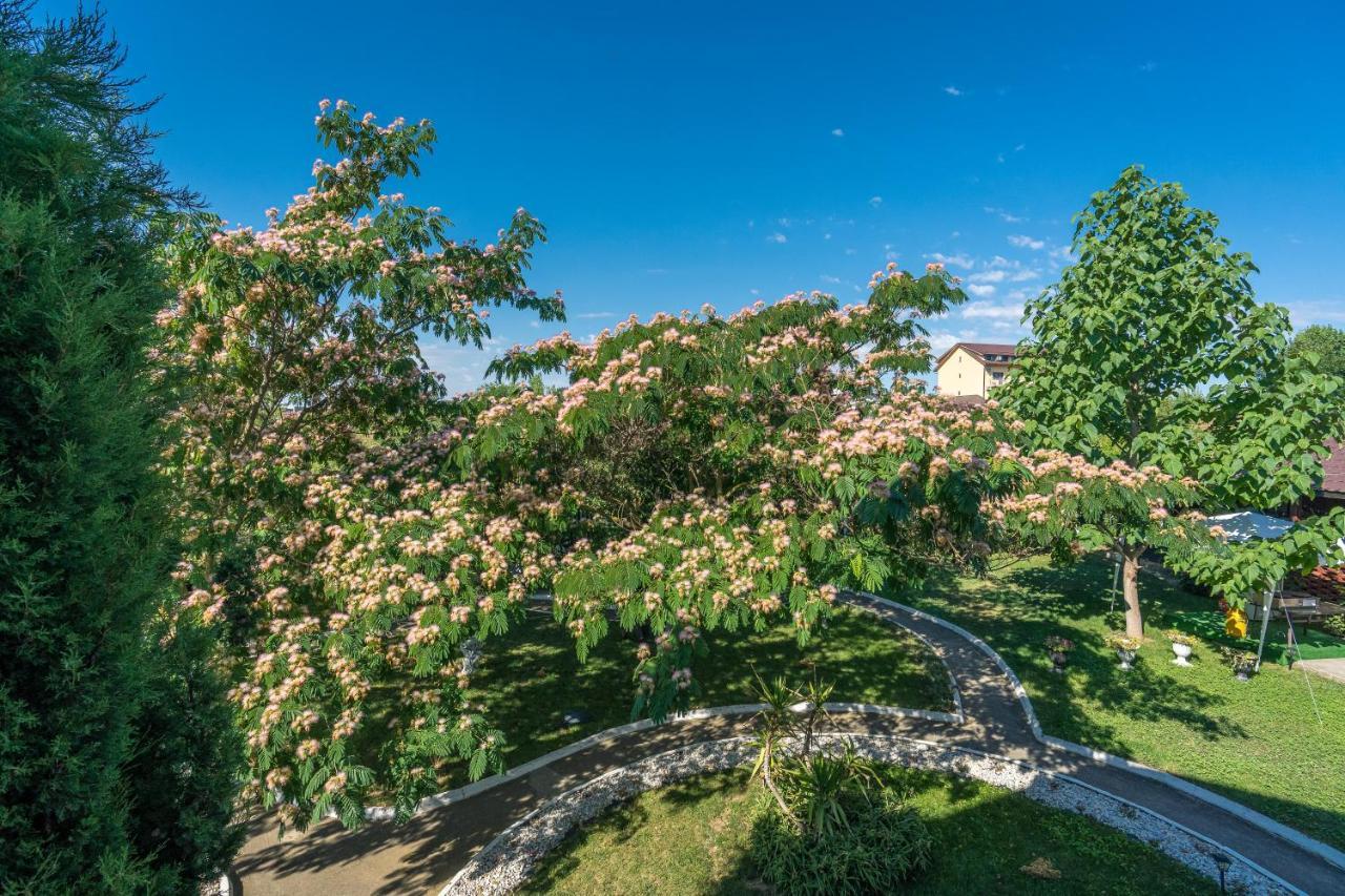 Vila Cataleya Venus Eksteriør bilde